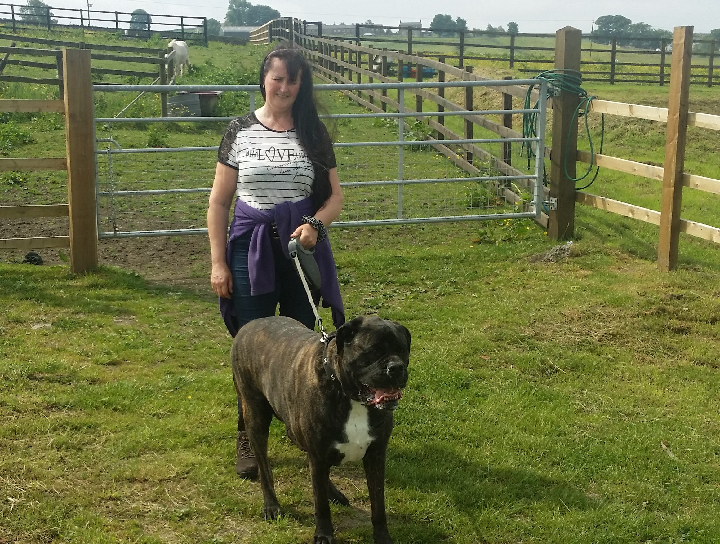 Burnley Pet Boarding Centre Our Photos